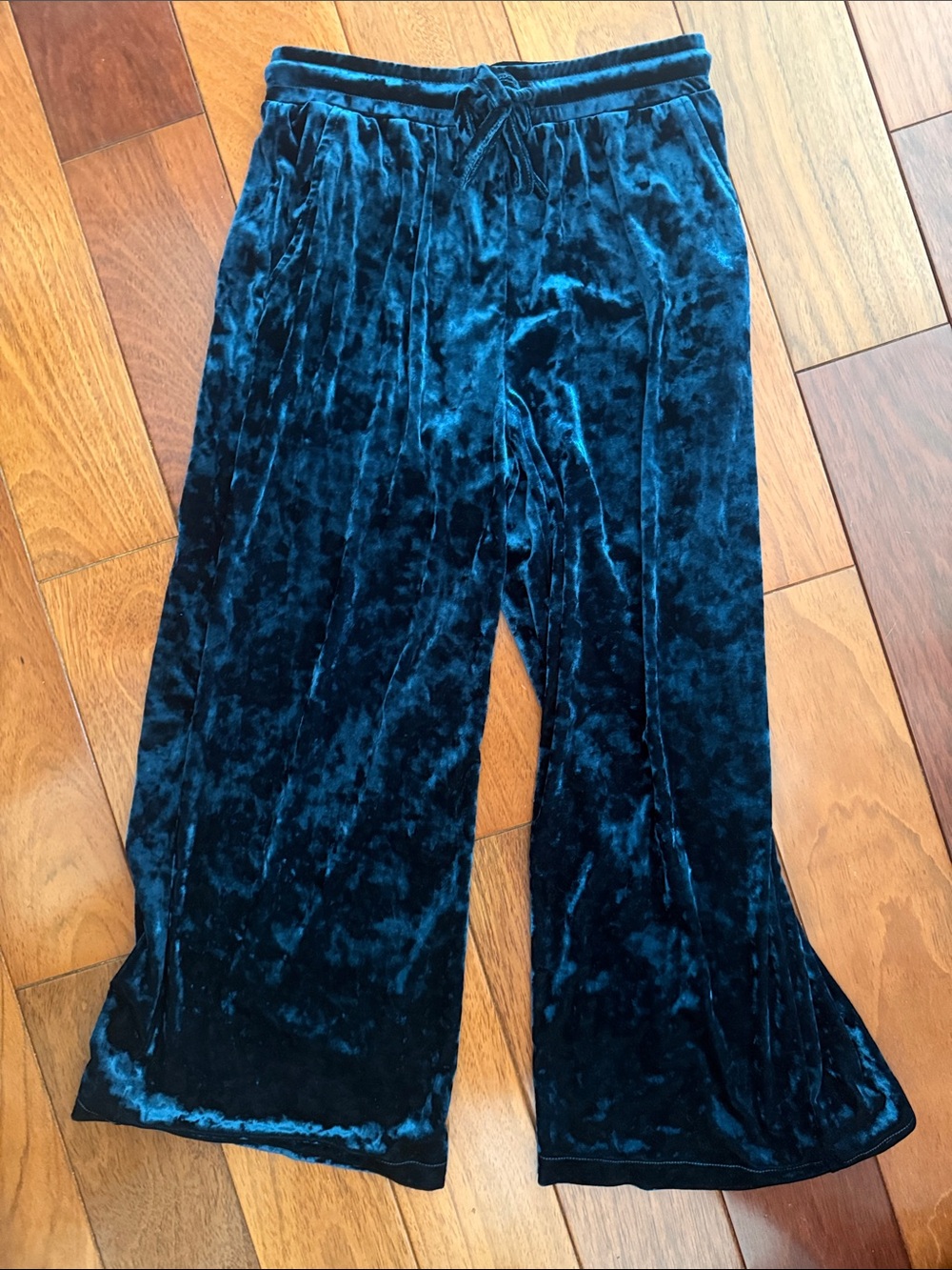 Silence + Noise Blue Velvet Ankle Pant